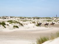 Tagesfahrt Insel Norderney