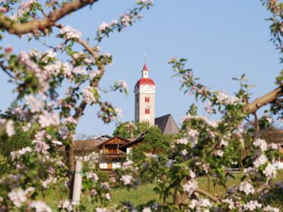 Apfelblüte-Fest in  Südtirol