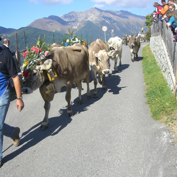 Auf zum Almabtrieb in Südtirol