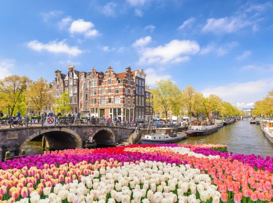 Holland zur Tulpenblüte