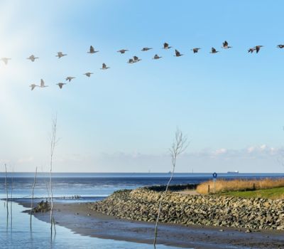 Inseln der Nordsee