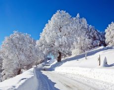 Ein wunderschöner Wintertag