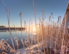 Winter an der Nordseeküste