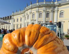 Schloss Ludwigsburg - Kürbisausstellung