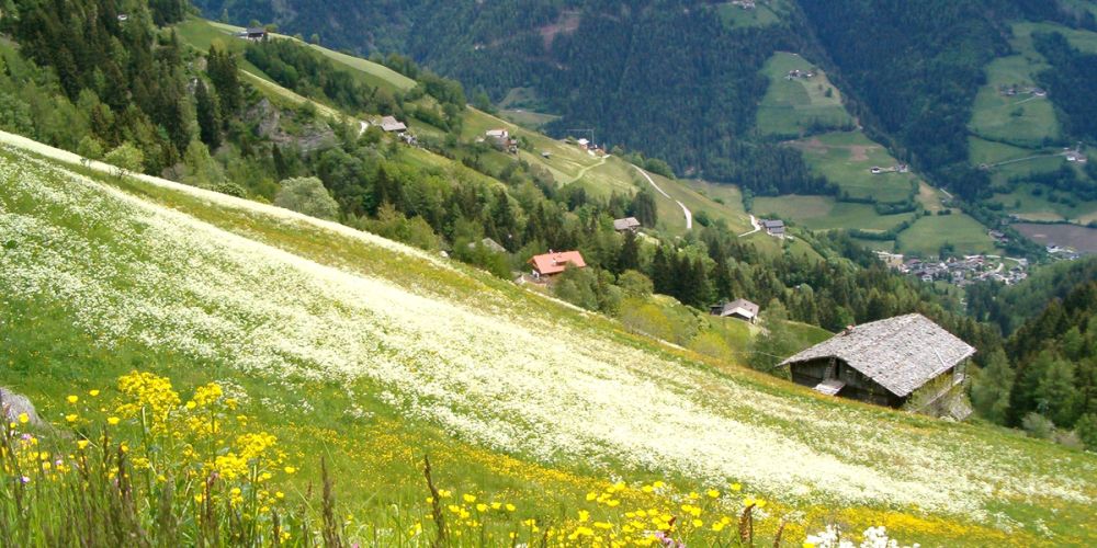 Meransen in Südtirol