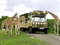 Serengeti Park - Europas größter Safaripark