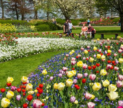 Frühling in Holland