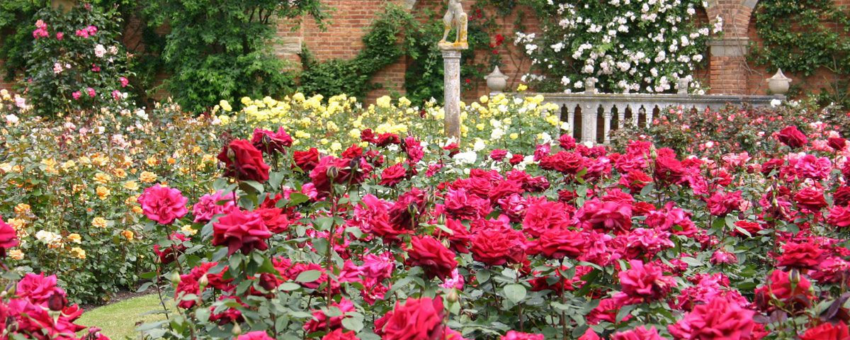 Englische Gärten - Blühende Paradiese