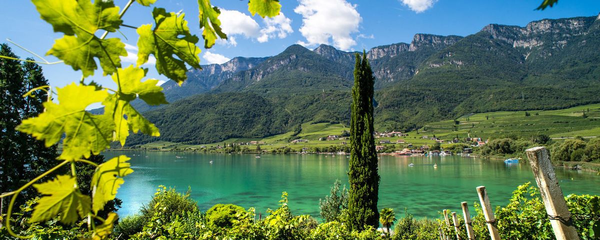 Zur Apfelblüte nach Südtirol