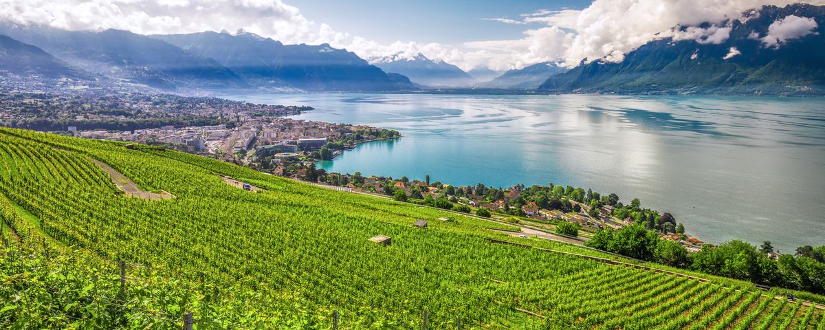 Frühling am Genfersee