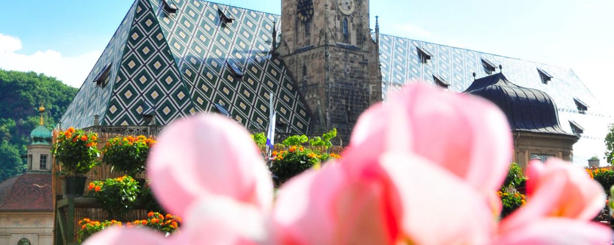 Zur Apfelblüte nach Südtirol