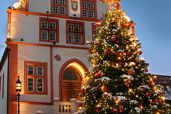 Bad Salzuflen - Weihnachtsbaum am Alten Markt