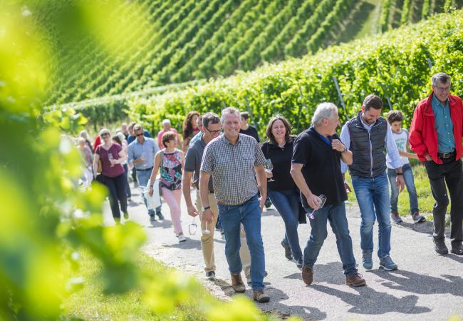 Weinwanderung im Rheingau & Eltviller Sektfest