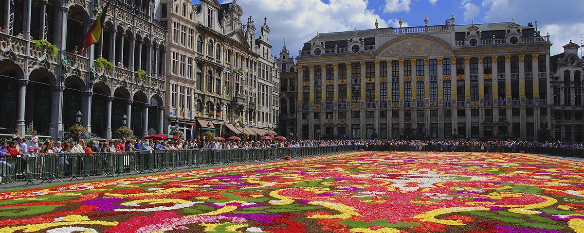 Brüsseler Blütenteppich