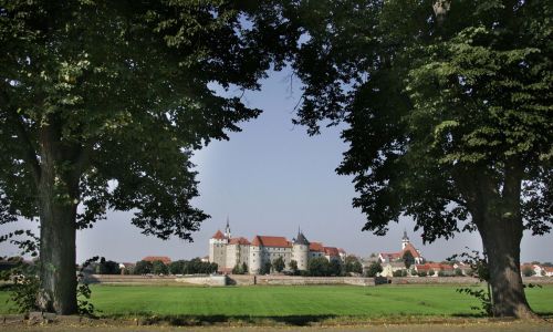 Torgau mit Schloss Hartenfels