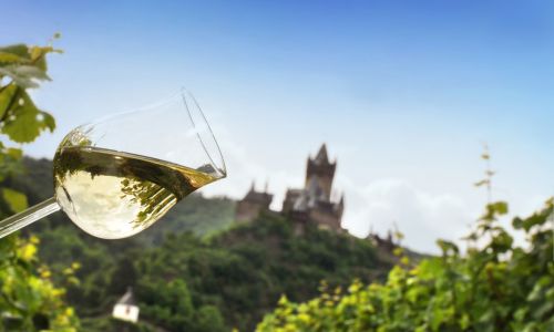 Cochem - Burg mit Wein 