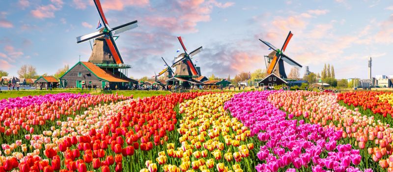 Holland - Erlebnisreise