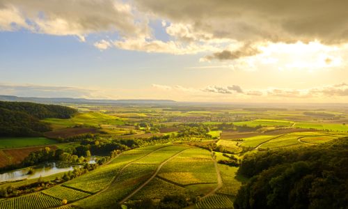 Weinanbaugebiet Franken