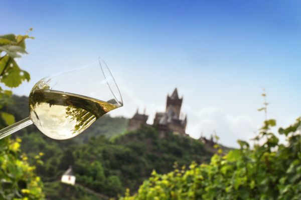 Cochem - Burg mit Wein 