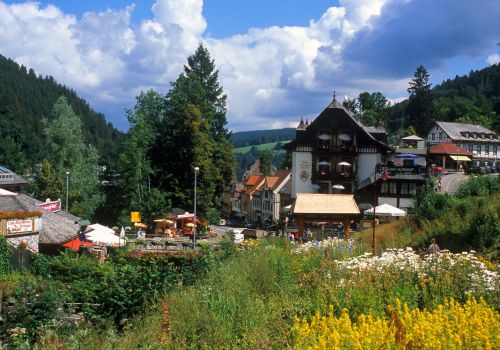 Schwarzwald - Elsass - Kaiserstuhl