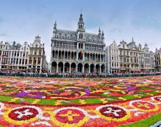 Blumenteppich auf dem Grand Place, Brüssel