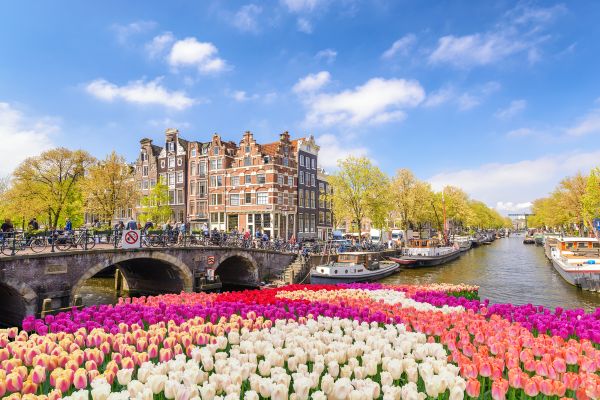 Grachten in Amsterdam mit einem Tulpenmeer