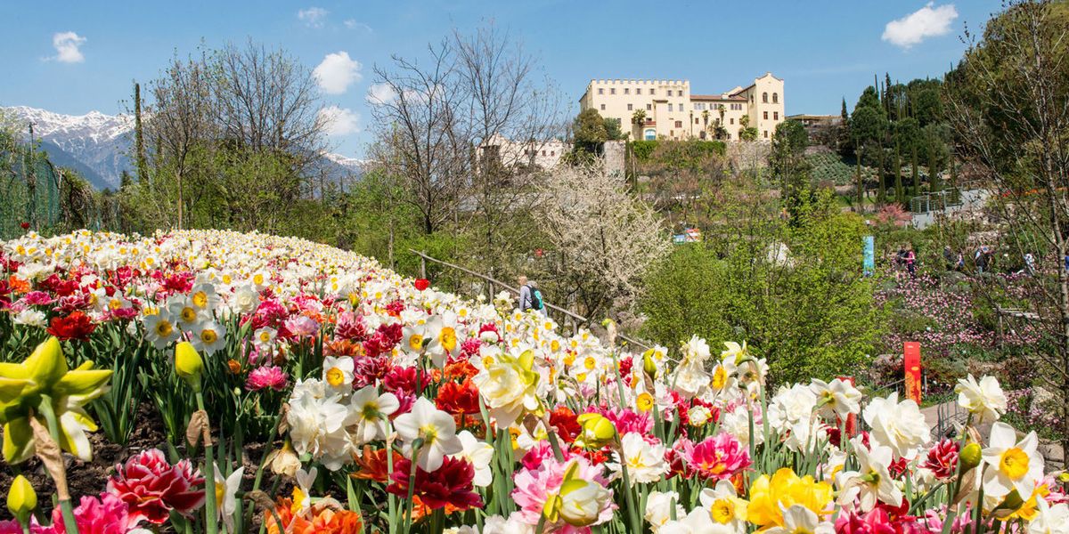 Frühling in  Südtirol