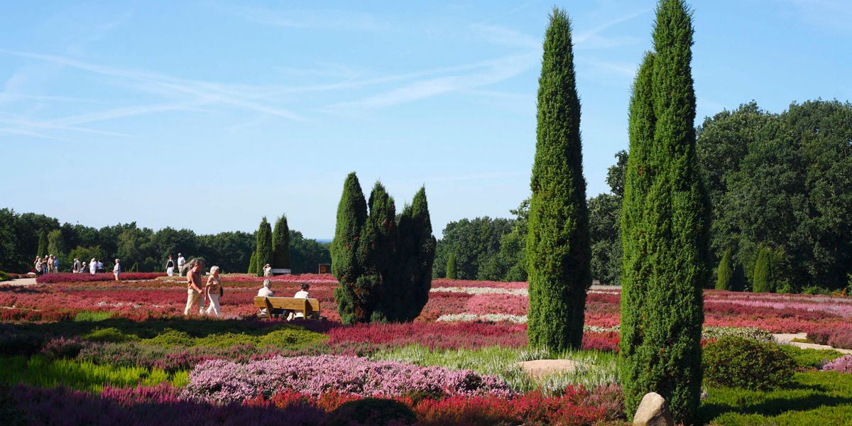 Lüneburger Heide