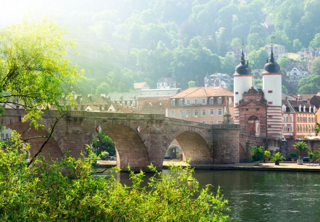 Heidelberg & Spanferkelessen auf Hof Helmling