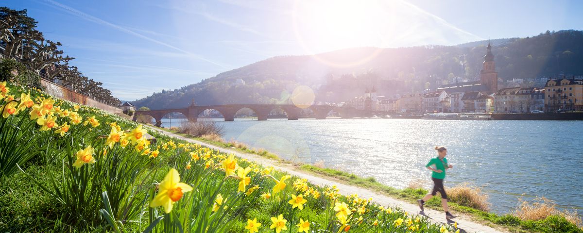 Romantisches Heidelberg und Pfälzer Mandelblüte