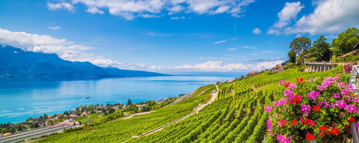 Frühling am Genfersee