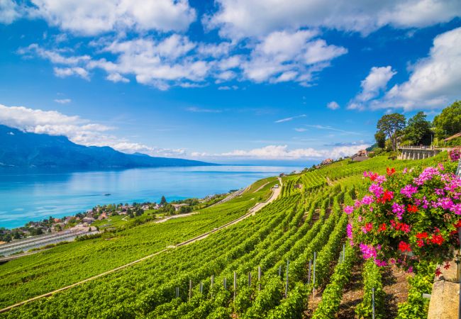 Frühling am Genfersee