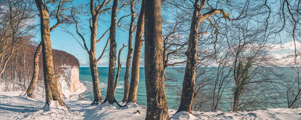 Rügen im Winter