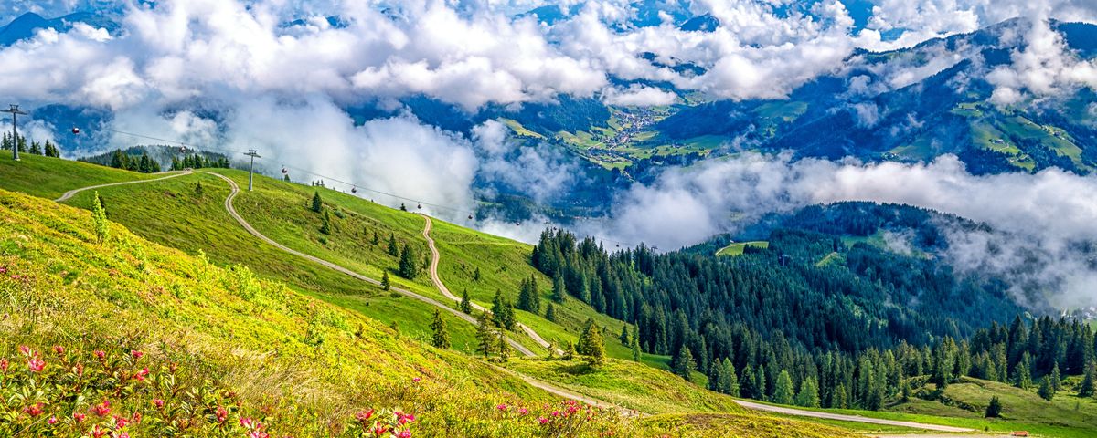 Bauernsommer in Tirol