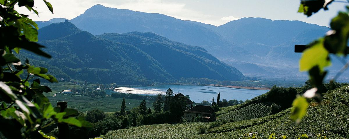 Zur Apfelblüte nach Südtirol