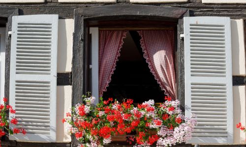 Blumengeschmücktes Fenster im Elsass 