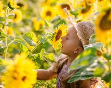 Süßes kleines Mädchen im Sonnenblumenfeld