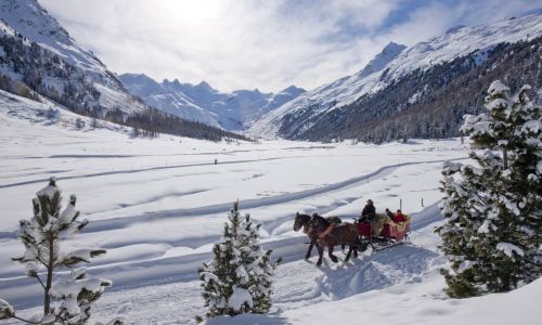 St. Moritz - Pferdeschlittenfahrt im Val Rosegg 