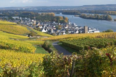 Blick auf Rüdesheim und den Rhein