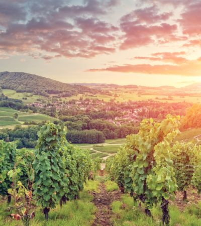 Burgund - Romantik in traumhaft schöner Landschaft