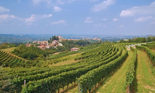 Landschaft im Piemont bei Asti
