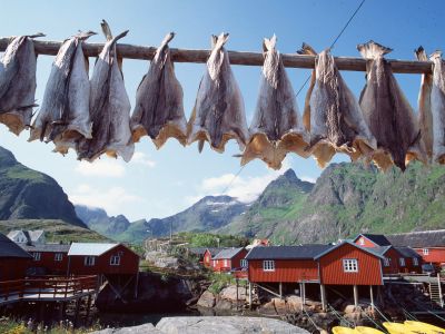 Norwegen:  Fjorde + Lofoten