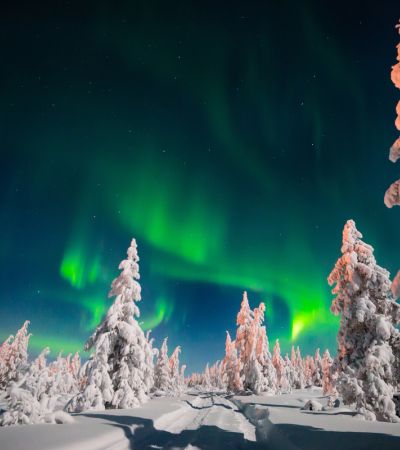 Winterzauber in Lappland