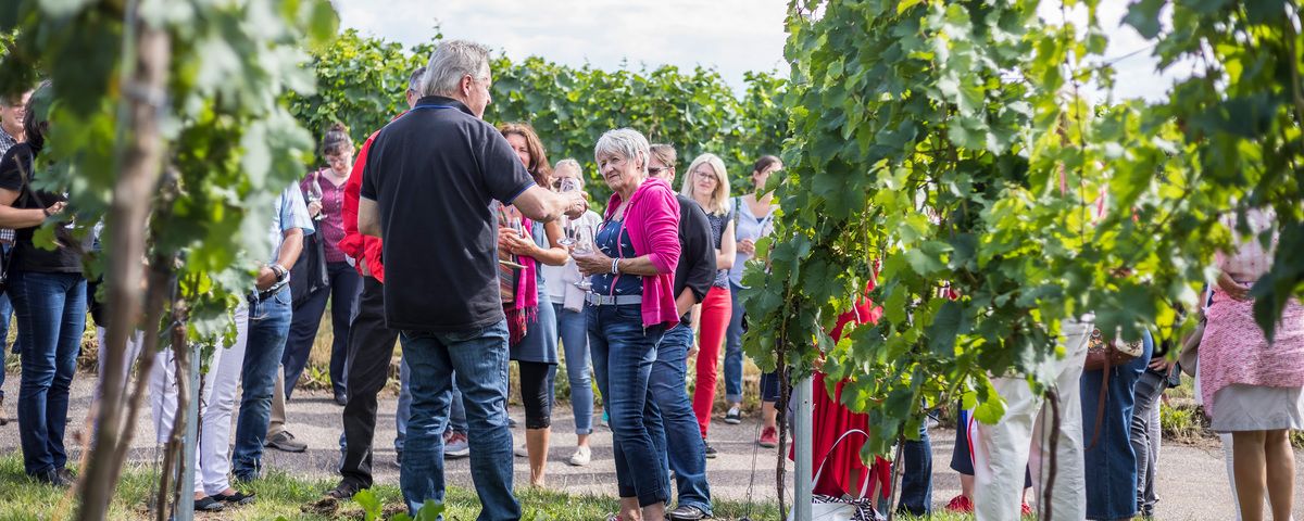 Kulinarische Weinwanderung in Freinsheim
